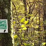Haus Koelsch * Kroppen