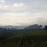 Haus Koelsch Kroppen