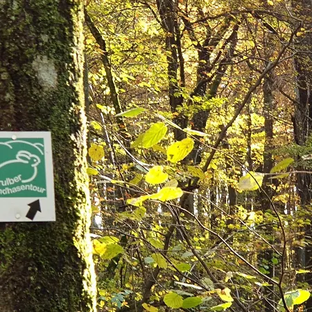 Haus Koelsch * Kroppen