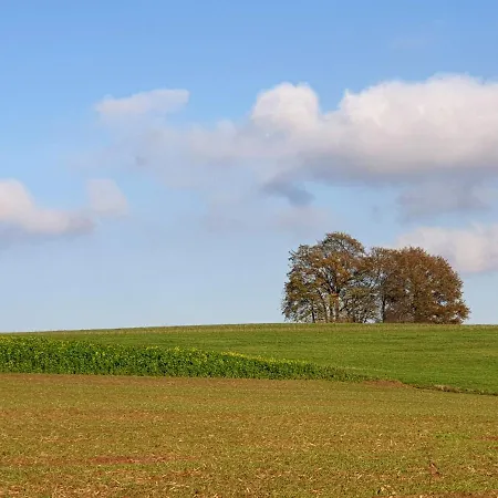 Apartment Haus Koelsch