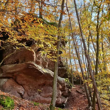 Haus Koelsch Daire Kroppen