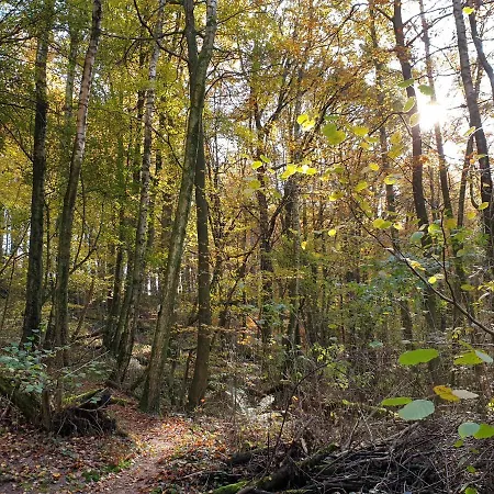 Apartment Haus Koelsch Kroppen