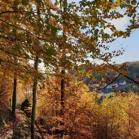 Apartment Haus Koelsch *