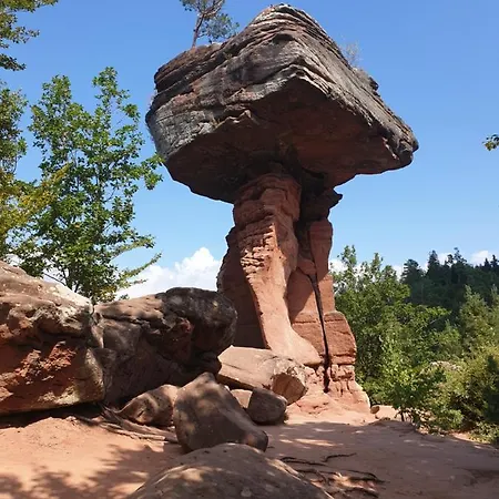 Apartment Haus Koelsch