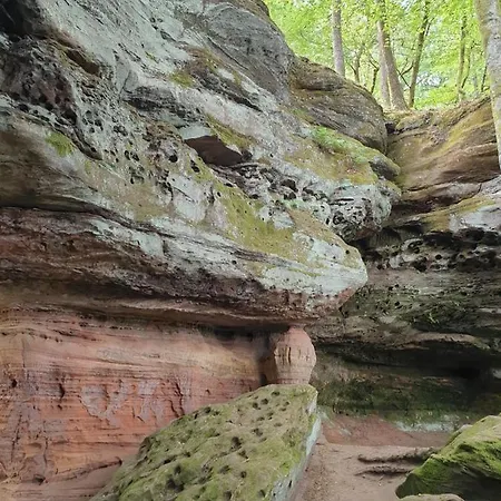 Haus Koelsch Kroppen