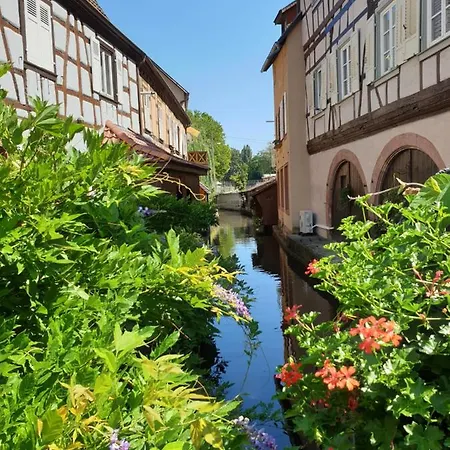 Apartment Haus Koelsch