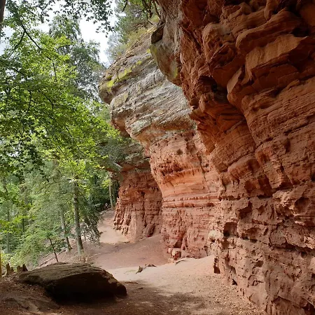 Haus Koelsch アパート *