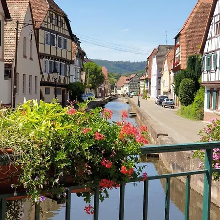 Haus Koelsch *