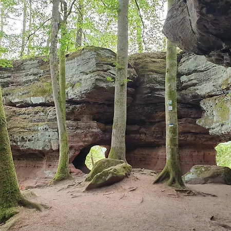 Haus Koelsch Apartment *