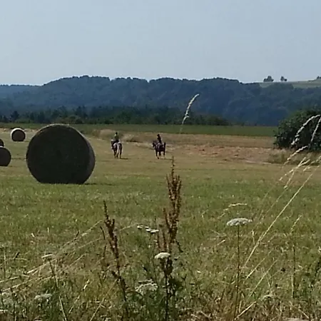 Haus Koelsch アパート