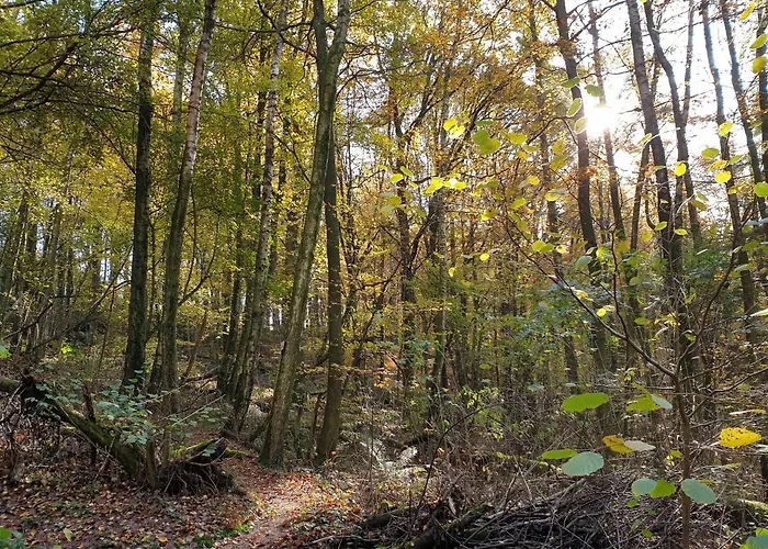 דירה Haus Koelsch Kroppen