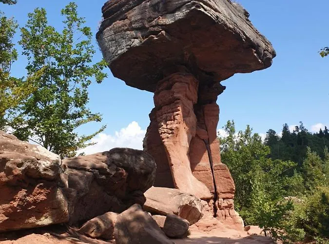 דירה Haus Koelsch