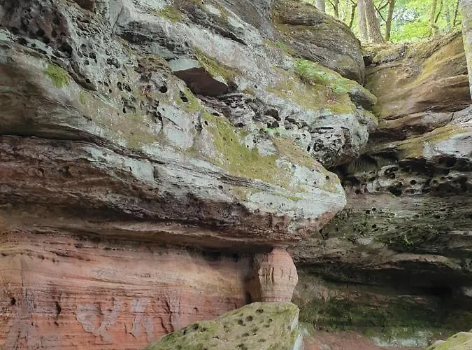 Haus Koelsch Kroppen