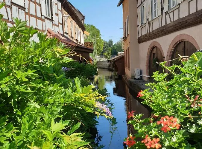 דירה Haus Koelsch