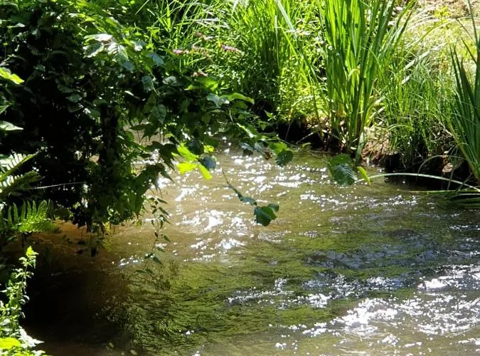 Haus Koelsch דירה