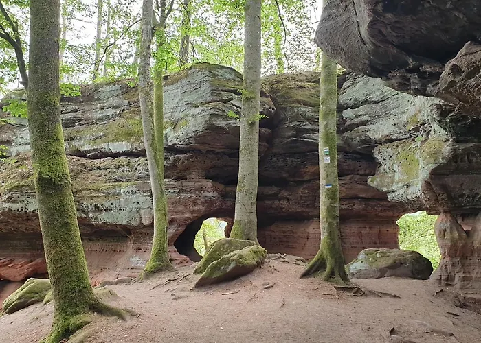 Haus Koelsch דירה *